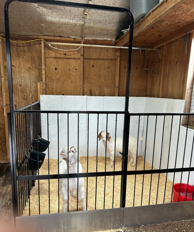 goat pen